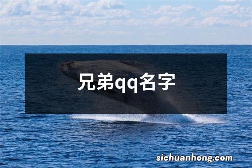 兄弟qq名字