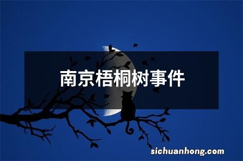 南京梧桐树事件