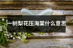 一树梨花压海棠什么意思