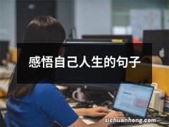 感悟自己人生的句子