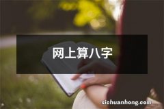 网上算八字