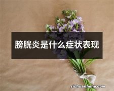 膀胱炎是什么症状表现