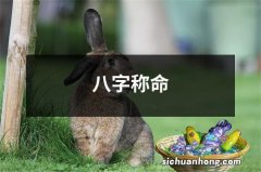 八字称命