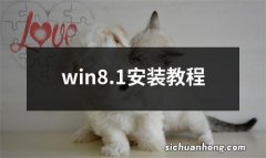 win8.1安装教程