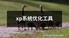 xp系统优化工具