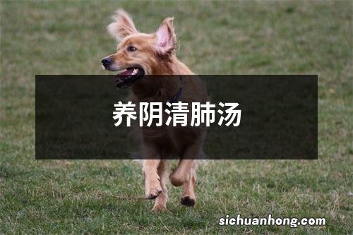 养阴清肺汤