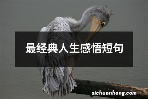 最经典人生感悟短句