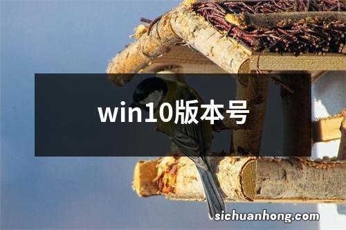 win10版本号