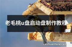 老毛桃u盘启动盘制作教程