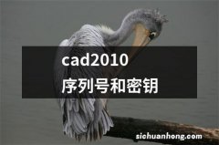 cad2010序列号和密钥