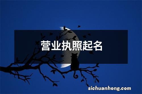 营业执照起名