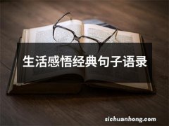 生活感悟经典句子语录