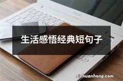 生活感悟经典短句子