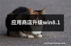 应用商店升级win8.1