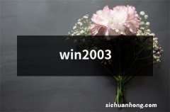 win2003