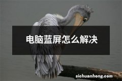 电脑蓝屏怎么解决