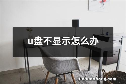 u盘不显示怎么办