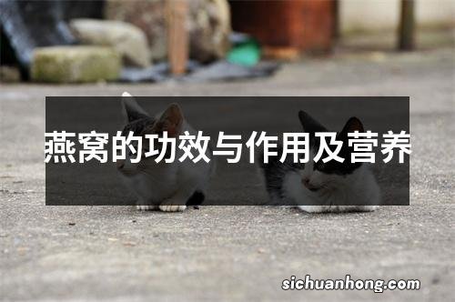 燕窝的功效与作用及营养