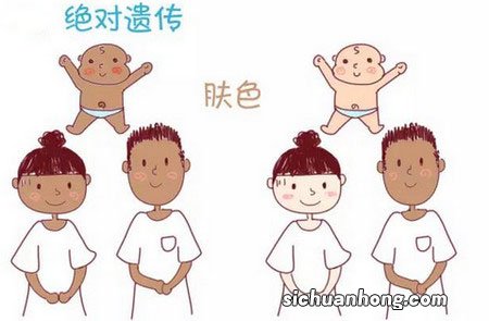 第一讲：幼儿教资，保教知识与能力科目考纲及婴幼儿发展