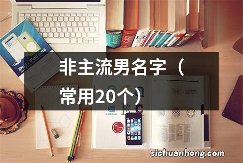 常用20个 非主流男名字