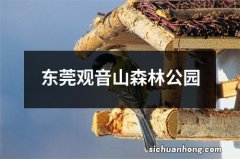 东莞观音山森林公园