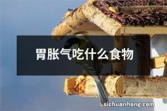 胃胀气吃什么食物