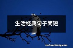 生活经典句子简短