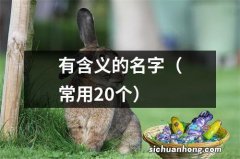 常用20个 有含义的名字