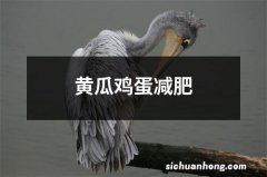 黄瓜鸡蛋减肥