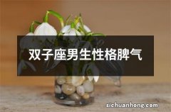 双子座男生性格脾气