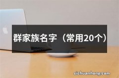 常用20个 群家族名字