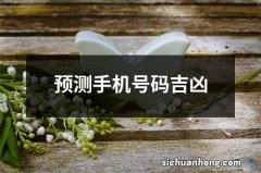 预测手机号码吉凶