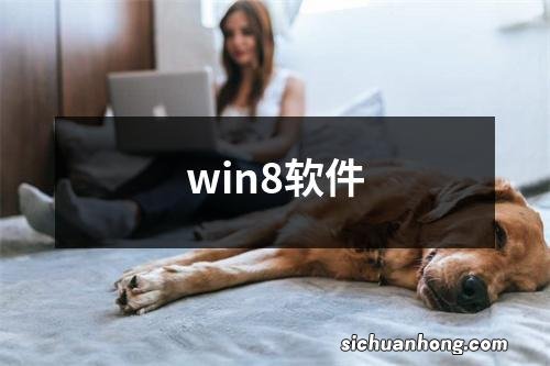 win8软件