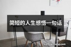 简短的人生感悟一句话