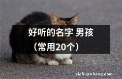 常用20个 好听的名字 男孩