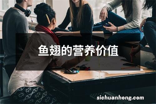 鱼翅的营养价值