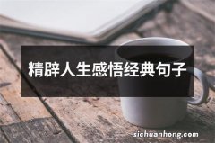 精辟人生感悟经典句子