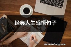 经典人生感悟句子