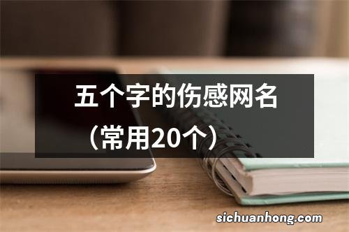 常用20个 五个字的伤感网名