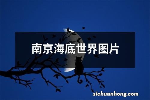 南京海底世界图片