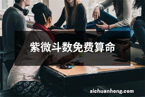 紫微斗数免费算命