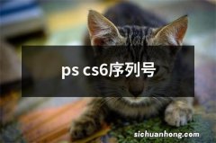 ps cs6序列号