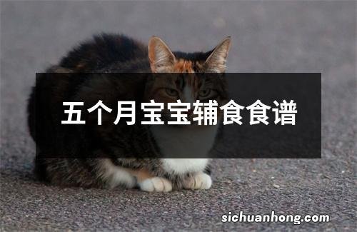 五个月宝宝辅食食谱