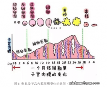 月经少到怀疑自己快要绝经了