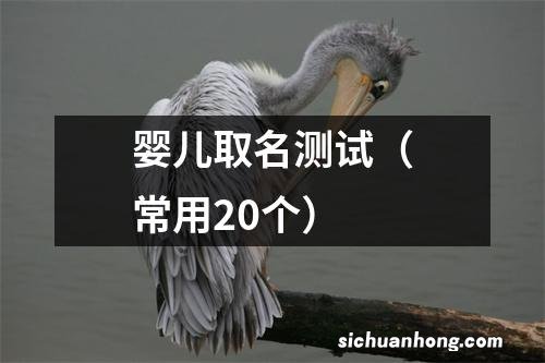 常用20个 婴儿取名测试