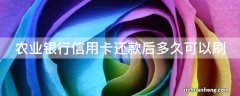 玩卡大神们遵循的信用卡潜规则是什么呢？