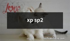 xp sp2