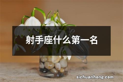 射手座什么第一名