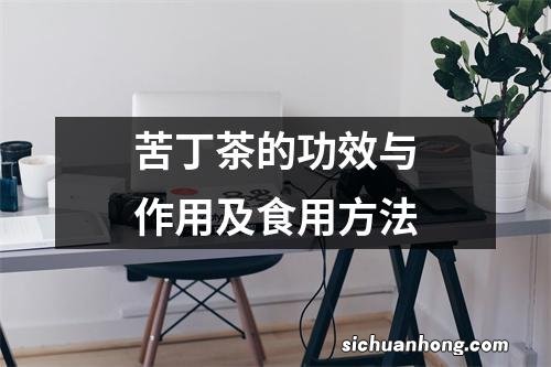 苦丁茶的功效与作用及食用方法