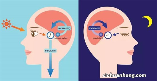 ?为何千万不要在夜里醒来看时间？